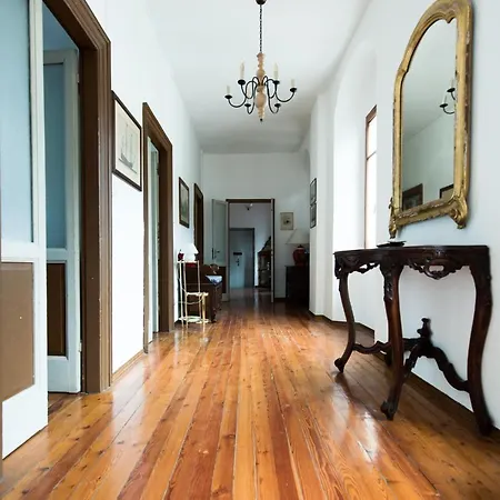 The King House With Panoramic Views Apartment *